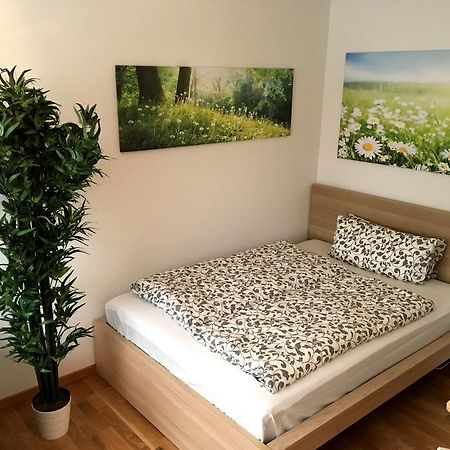 Apartment Flowerside Ratyzbona Zewnętrze zdjęcie