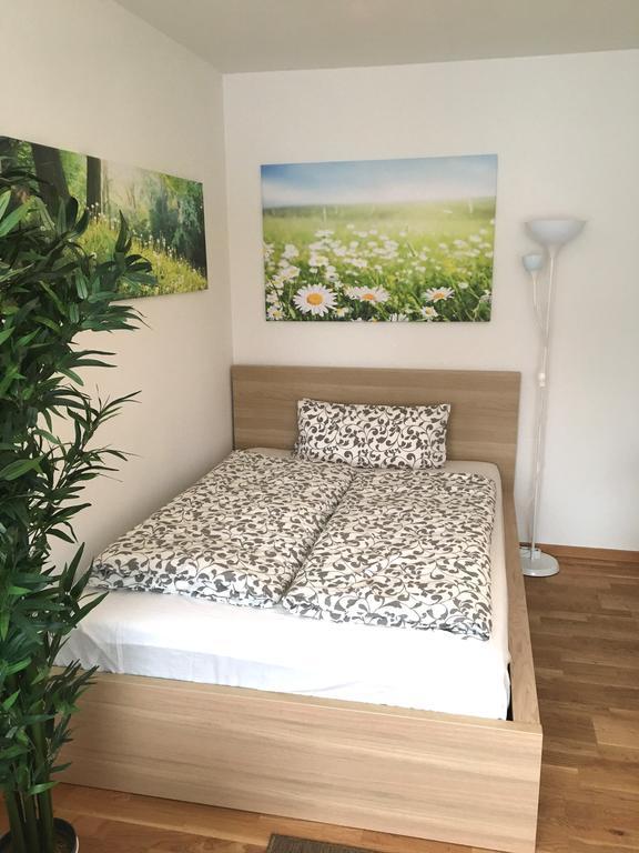 Apartment Flowerside Ratyzbona Zewnętrze zdjęcie